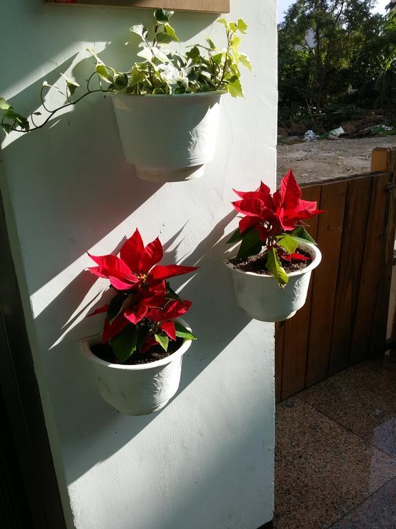Flower B&B Hualien City Luaran gambar